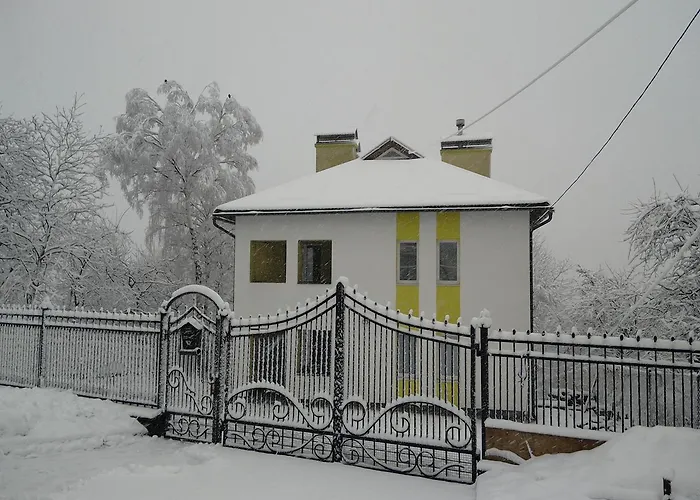 招待所 At Lesya Ukrainka 特鲁斯卡韦茨